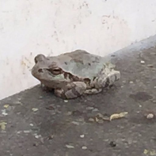 horikoshikatsum's profile picture. ほりこしかつみです。ラーメン食べたりコーディングしたりしてます。