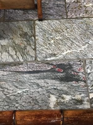 aIv8B6spcvRsAmo's profile picture. 