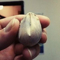 元餡子屋 (@balutfarmer) 's Twitter Profile