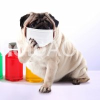 masa technology (@masatechnews) 's Twitter Profile
