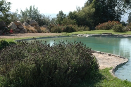 el_pregon_'s profile picture. Un lugar en medio del campo para hacer más entretenida la vida. Gastronomia, paz, caballos,agua,naturaleza a 25 minutos de Santiago de Chile