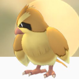 pidgey@.@