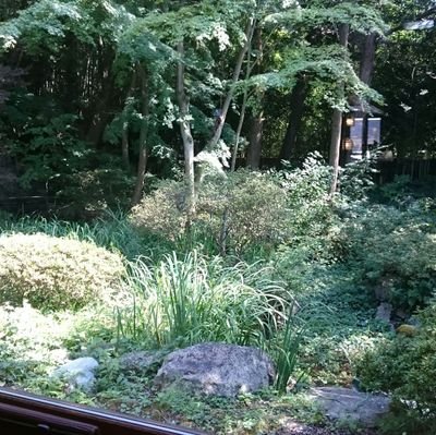 zonbatt's profile picture. 20↑自営業

情報垢