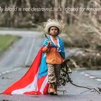 Max Alverio (@maxalverio) 's Twitter Profile