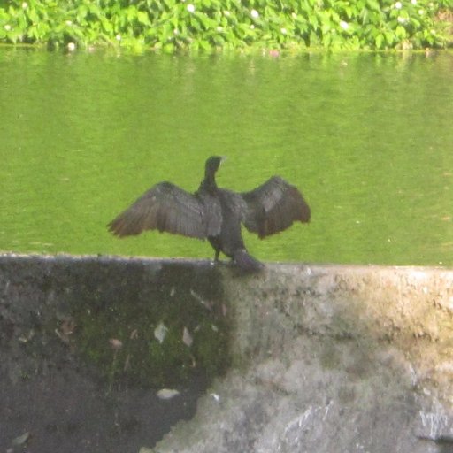 pruney12's profile picture. 