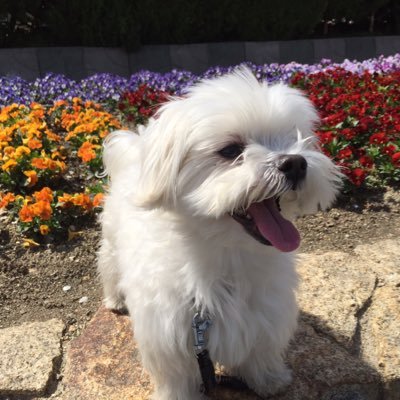 sunflow771's profile picture. テレビが伝えない政治情報を多くの人に伝えたい。
市民の力で政治を変えたい。