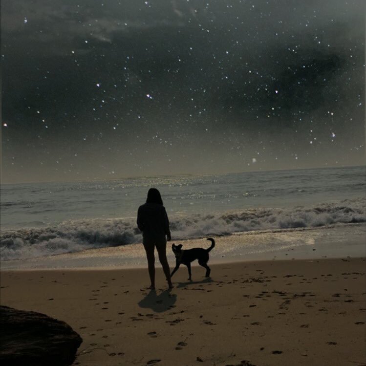 jamiielovee's profile picture. lifes tough, get a helmet.