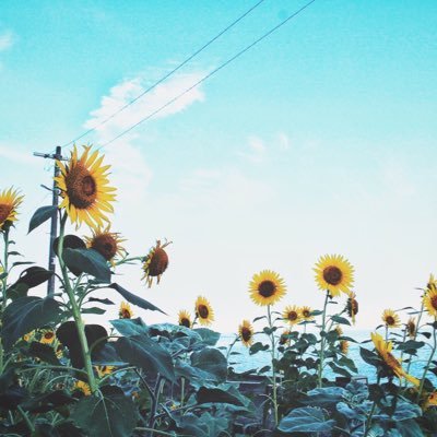 pnux_u's profile picture. 