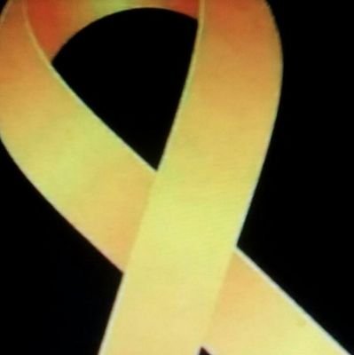 Independentista, catalanòfil, escriptor i analista. Assoliment del refet Estat Català: Països Catalans. República Catalana. Català única llengua oficial.