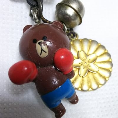 lion_heart_1234's profile picture. I am Japanese. 
I want to be friends with people from different countries.