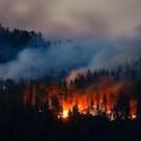 FIRES,in,CALIFORNIA (@fires4helpcalif) 's Twitter Profile