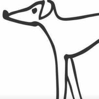 Greyhound Trust Dudley (@gtdudley) 's Twitter Profile