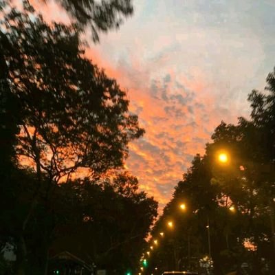 jiaying55's profile picture. When life gives u lemon, sqeeze it on people's eyes😊