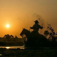 Enamorate Del Llano (@amorporelllano) 's Twitter Profile Photo Enamorate Del Llano (@amorporelllano) 's Twitter Profile Photo