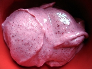 samueleggleton's profile picture. My first cranberry ice cream - suuuper tasty