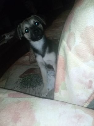 helca_m's profile picture. Děti, psíci a vlastní názory.