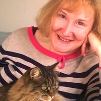 Margaret Brecknell (@mabrecknell) 's Twitter Profile