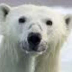 merusus's profile picture. 