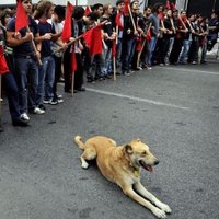 Kerimcan Yıldırım (@cankerim76) Twitter profile photo