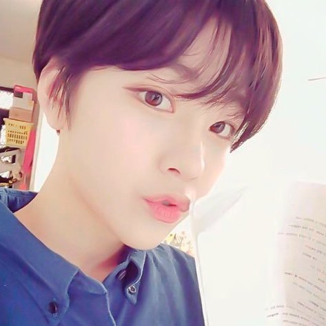 DocileMorose's profile picture. ⠀⠀⠀⠀❝ɪ ᴡᴀɴᴛ ᴛᴏ ᴅʀᴇᴀᴍ ᴍᴏʀᴇ.❞