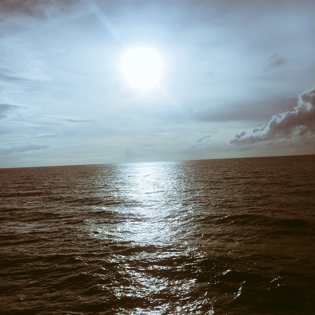 pe32392's profile picture. snap chat pauledwards9