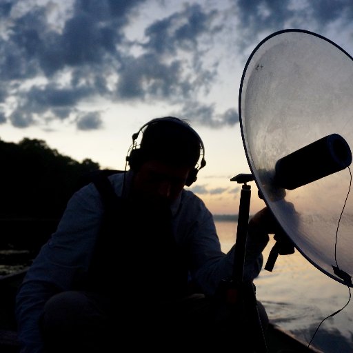 sharawadji's profile picture. )))