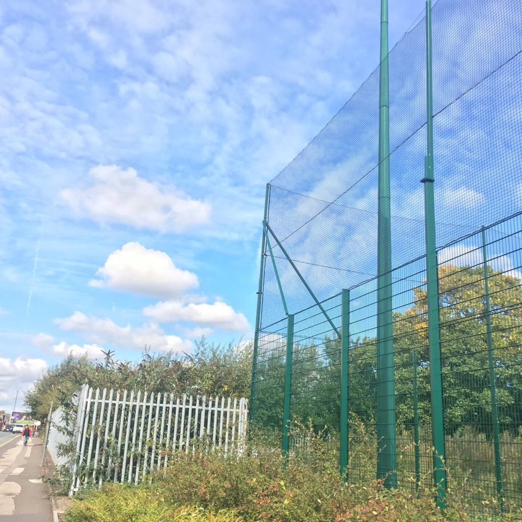 shan_shangshang's profile picture. 