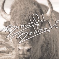 Beautiful Badlands ND (@btflbadlandsnd) 's Twitter Profile