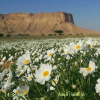 انا لله وانا اليه راجعون (@mannu2666) Twitter profile photo