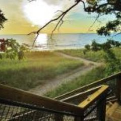 mtnairhobo's profile picture. 