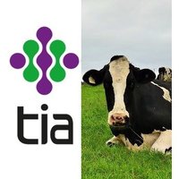 TIA Dairy (@tiadairy) 's Twitter Profile