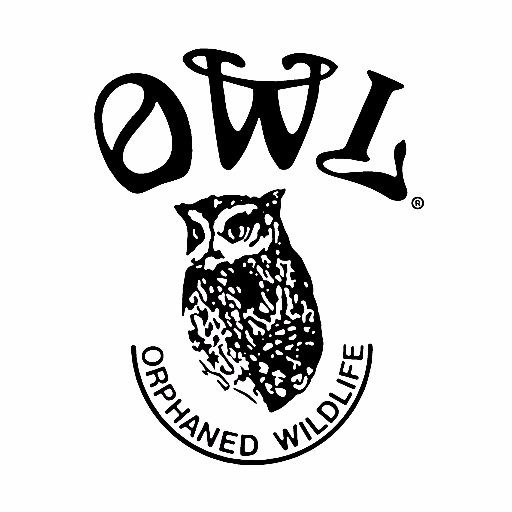 OWL Orphaned Wildlife Rehabilitation Societyさんのプロフィール画像