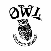 OWL Orphaned Wildlife Rehabilitation Society(@OWLRehab) 's Twitter Profile Photo