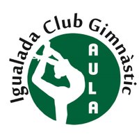 Igualada CG Aula (@cgaulacf) 's Twitter Profile