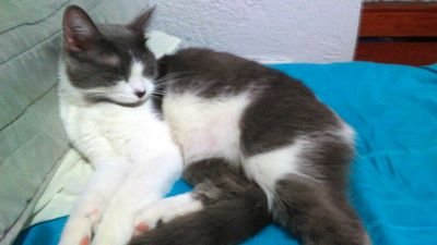 Después de una vida de depresión, ahora quiero compensar el tiempo perdido