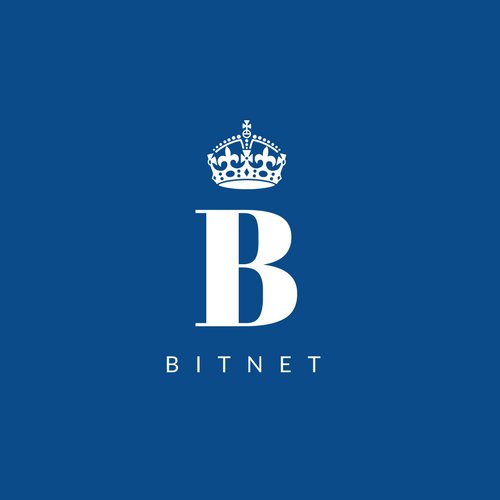 bitnet_coin's profile picture. 