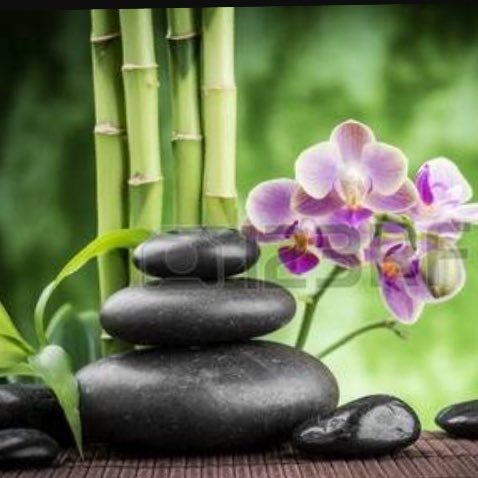 laurathelorax8's profile picture. 