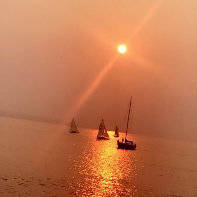 bomaa88's profile picture. 