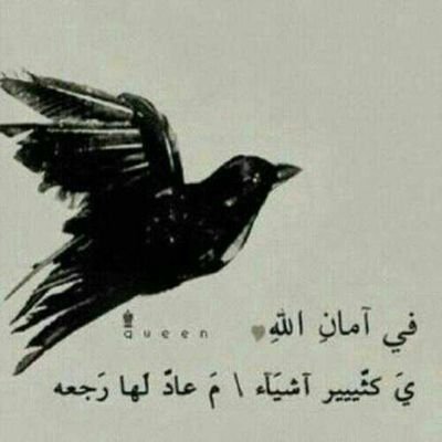 ddeecc__88's profile picture. ‏‏‏‏‏‏‏‏‏‏‏‏‏‏‏‏‏‏‏‏‏‏‏‏‏‏‏‏‏‏‏‏‏‏‏‏‏‏‏‏‏‏‏‏‏‏‏‏‏‏‏‏‏‏‏‏‏‏‏‏‏ ‏يمكن عنيده  لكن أعشق عنادي
عندي ثقه بالنفس والساس موثوق الله خلقني ل القيم والمباديء
اعرف حدودي و