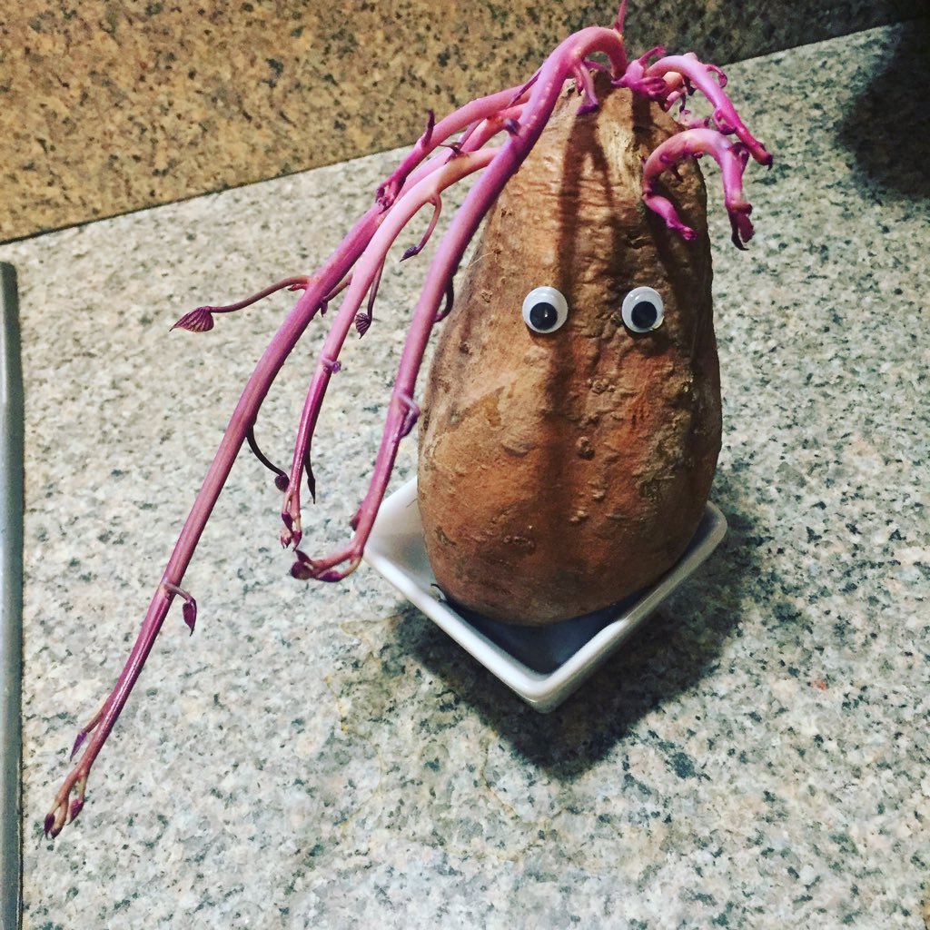 sarah_pennell's profile picture. 