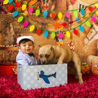 gonzaerick311's profile picture. American Bully
Dog Lover, Motivated