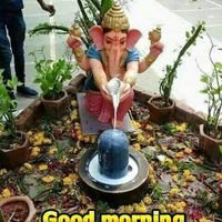 MaliniSharma8's profile picture. Women & NGOs