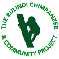 Bulindi Chimpanzees (@bulindichimps) 's Twitter Profile