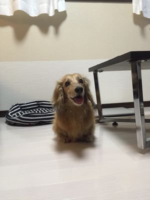 v0YY1lCWwc4DF88's profile picture. 