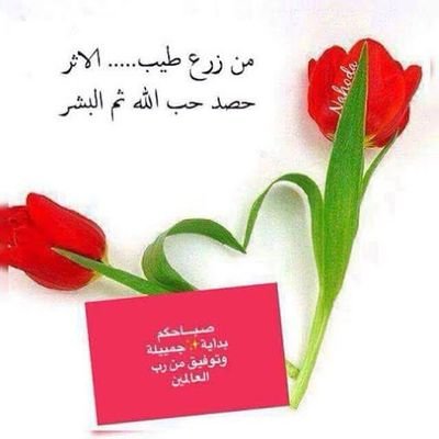 العالم العربي المملكة العربية السعودية التكنولوجيا الأخبار