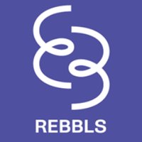 REBBLS (@rebbls) 's Twitter Profile Photo