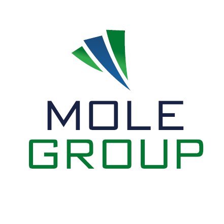 UK-wide Moling and Horizontal Directional Drilling engineering experts. We use trenchless and no-dig technology: Mole Group Utilities Ltd