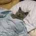 me importa un gato (@jfkalmeria1) Twitter profile photo me importa un gato (@jfkalmeria1) Twitter profile photo