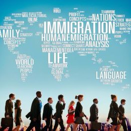 davidwarner001's profile picture. 