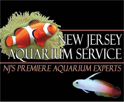NJAquariumServ's profile picture. Stunning aquatic displays for home & business. Project planning, design, installation, maintenance services, livestock sales.
